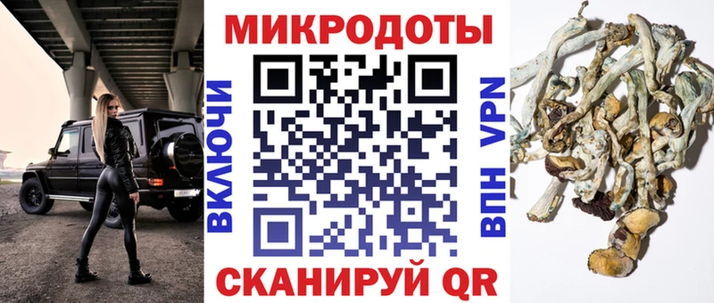 Псилоцибиновые грибы Psilocybe  Рыбинск 